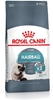 Picture of Royal Canin Intense Hairball